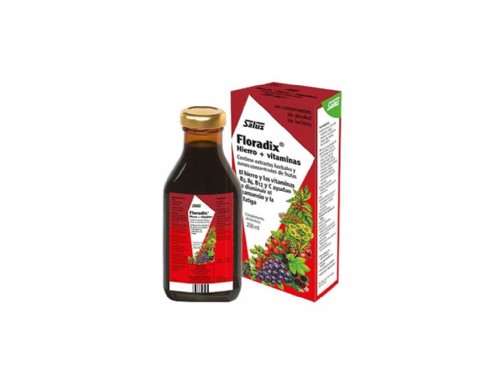 Floradix Hierro + Vitaminas 250ml